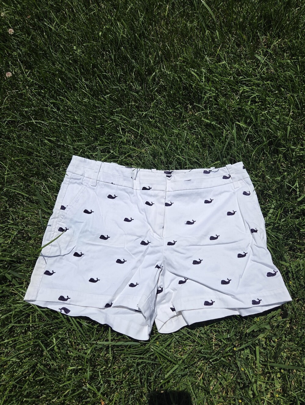 Telluride Clothing Company Embroidered White Whale Preppy Shorts Size 8